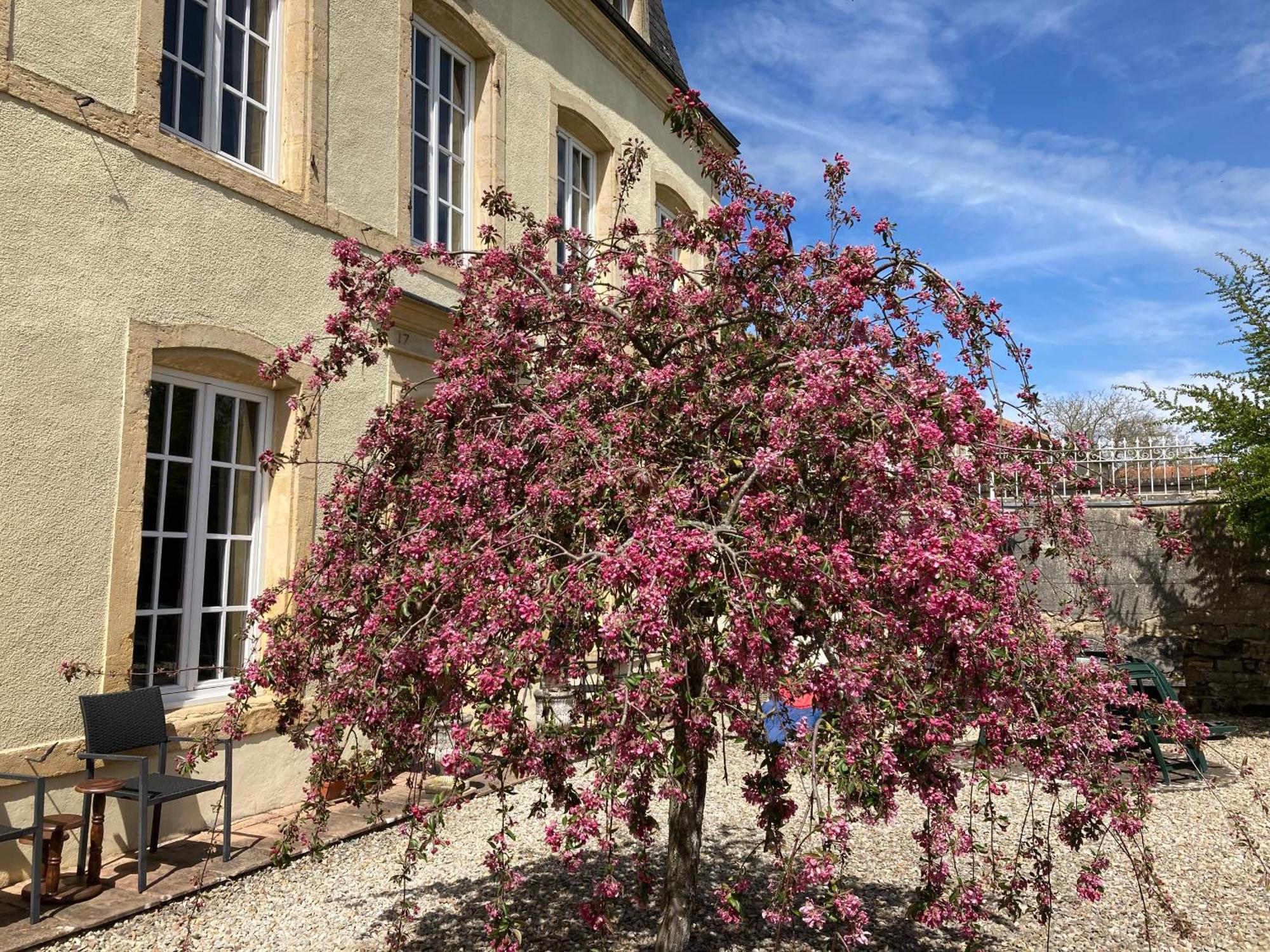 Maison Les Beaux Arts Mouzay  Экстерьер фото